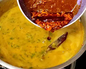 Dal Palak Recipe | Lasooni Dal Palak |Spinach Lentil Curry | लहसुनी दाल पालक https://thespicycafe.com/wp-content/uploads/2023/10/1-dal-palak-spinach-dal-lentil-curry-vegan-vegetarian-protein-rich-diabetic-friendly-healthy-nutritious-easy-quick-simple-delicious-lunch-dinner-rice-parotha-punjabi-.png https://thespicycafe.com/dal-palak-recipe/