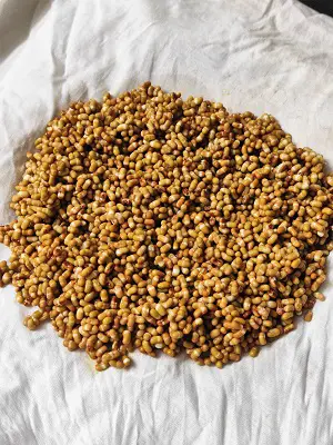 How To Sprout Matki (Moth Beans) https://thespicycafe.com/wp-content/uploads/2023/03/8-how-to-sprout-matki-moth-beans-vegetarian-vegan-gluten-free-diabetic-friendly-fiber-rich-indian-legumes-lentils-beans.jpg https://thespicycafe.com/how-to-sprout-matki-moth-beans/