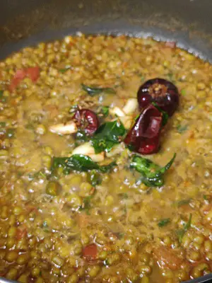 Hirvya Mugachi Usal | Green Moong Dal Curry | Green Gram Curry https://thespicycafe.com/wp-content/uploads/2023/05/140-green-moong-dal-curry-mung-beans-green-gram-hirvya-mugachi-usal-vegan-vegetarian-keto-protein-diabetic-friendly-simple-quick-easy-healthy-nutritious-lunch-dinner-indian-meal.jpg https://thespicycafe.com/green-moong-dal-curry/